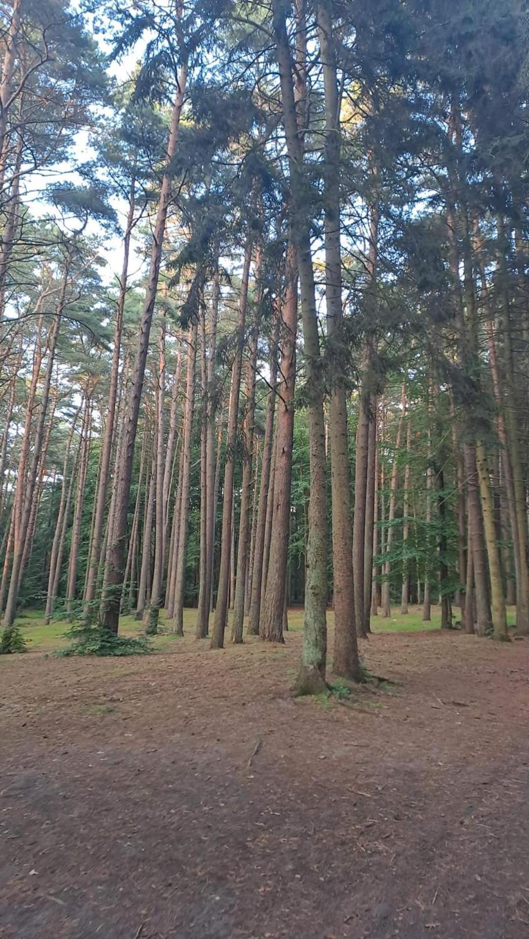 Pobierowo Baltic Apartaments D5 エクステリア 写真